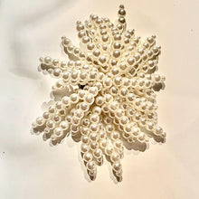 Charger l'image dans la galerie, The Extra Sass: Pearl Seaweed Shoe Clip - The Krippit